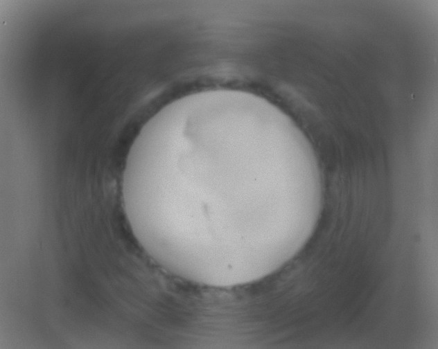 X0000081301302200702082034