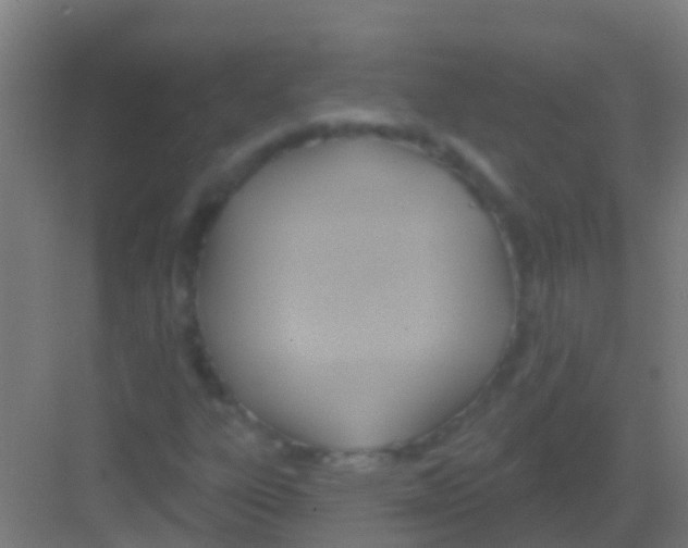 X0000081301303200702082034