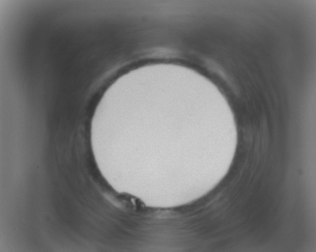 X0000081301304200702082034