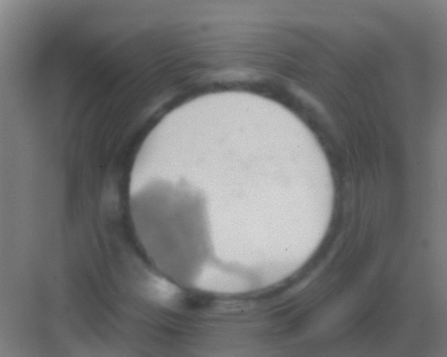 X0000081301305200702082034