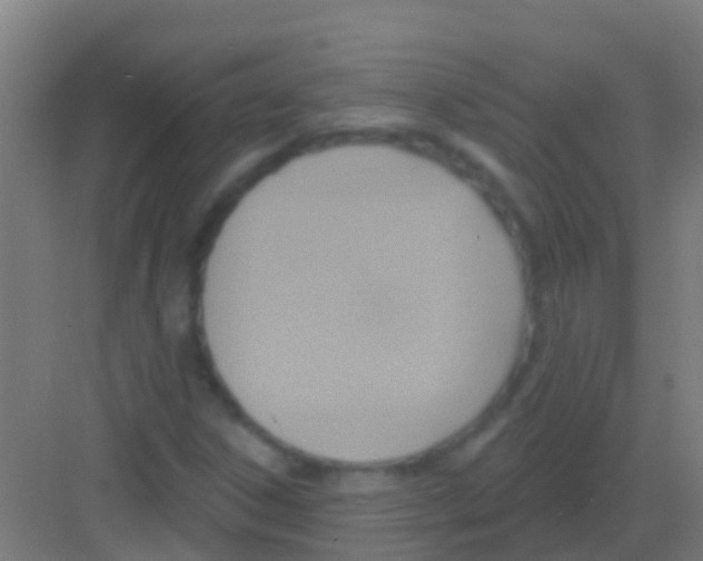 X0000081301306200702082034