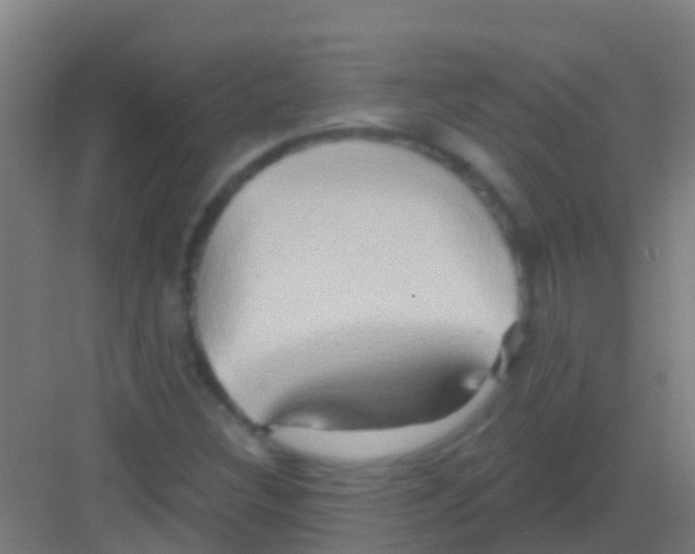 X0000081301308200702082034