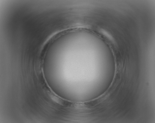 X0000081301310200702082034