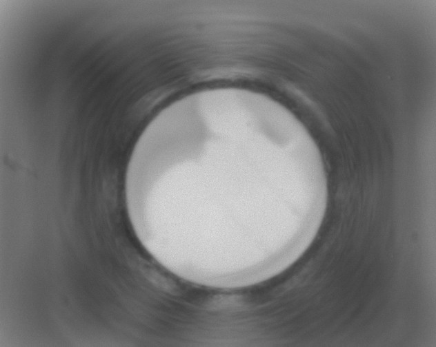 X0000081301313200702082034