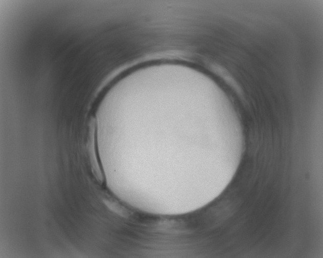 X0000081301316200702082034