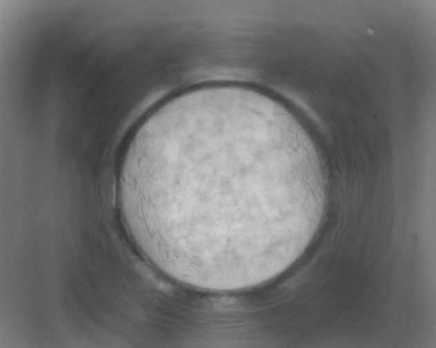 X0000081301317200702082034