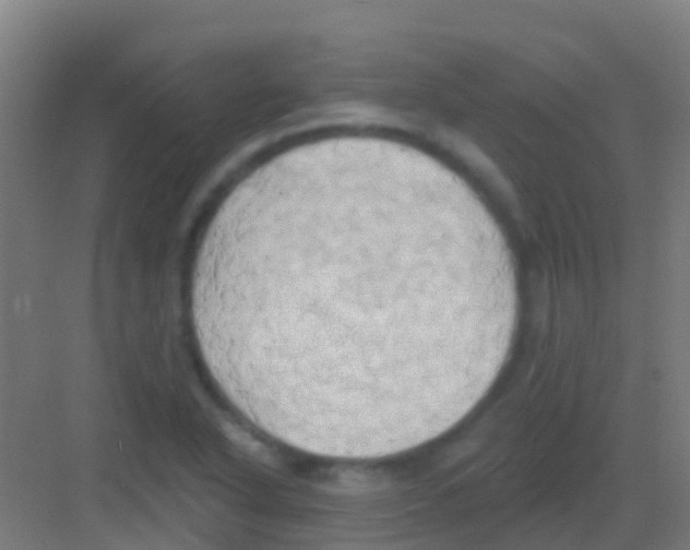 X0000081301318200702082034