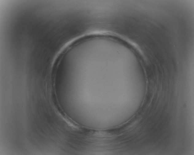 X0000081301319200702082034