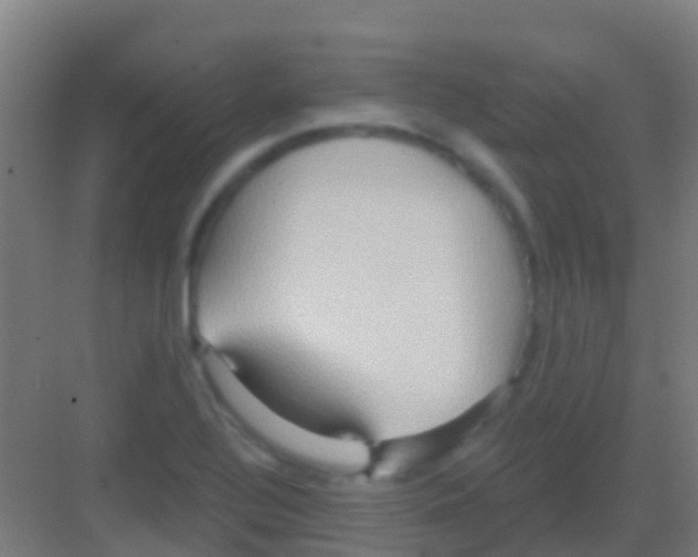 X0000081301320200702082034