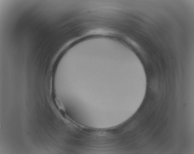 X0000081301323200702082034