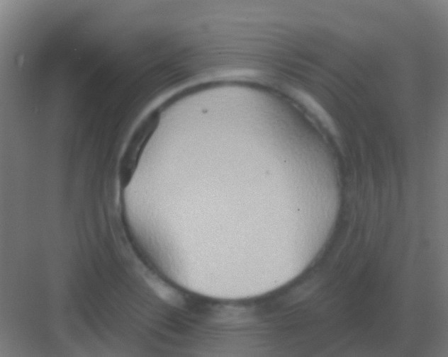 X0000081301324200702082034