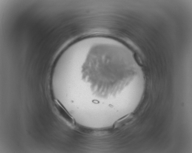 X0000081301325200702082034