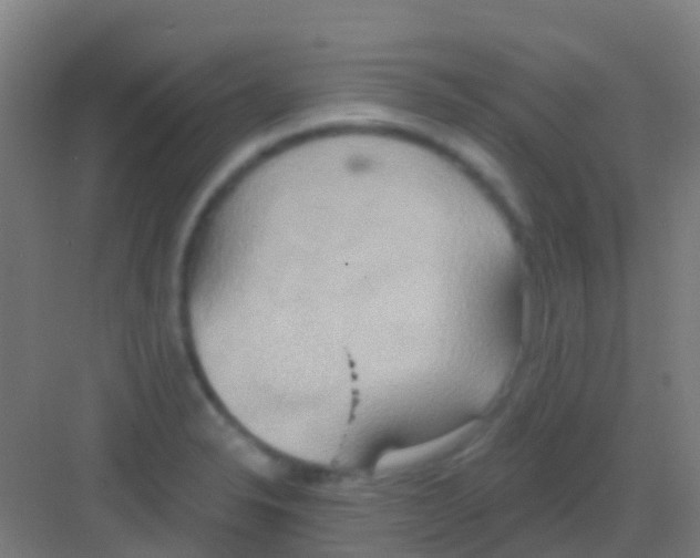 X0000081301326200702082034