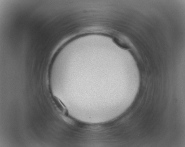 X0000081301328200702082034