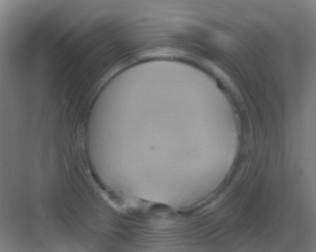 X0000081301329200702082034