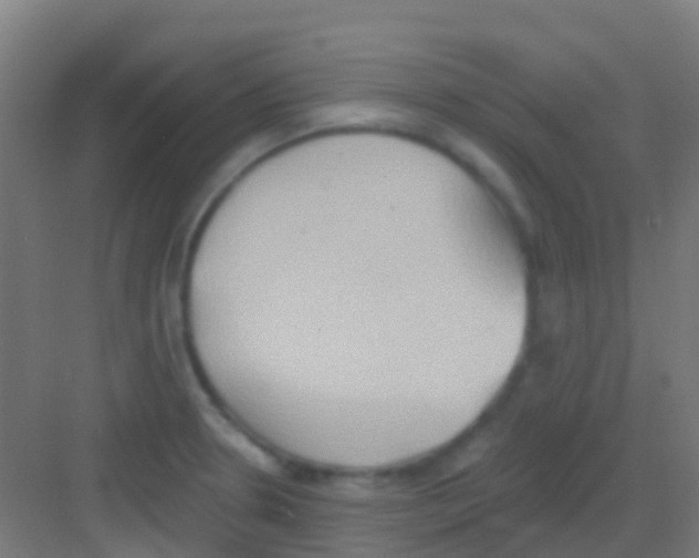 X0000081301330200702082034