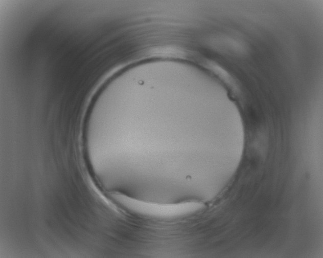 X0000081301331200702082034