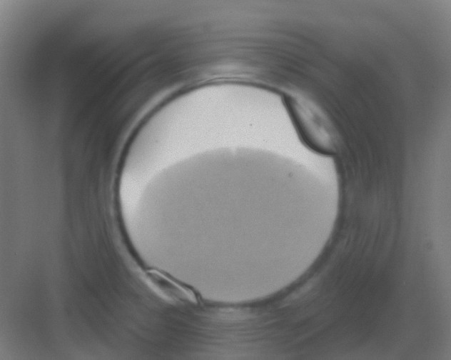 X0000081301333200702082034