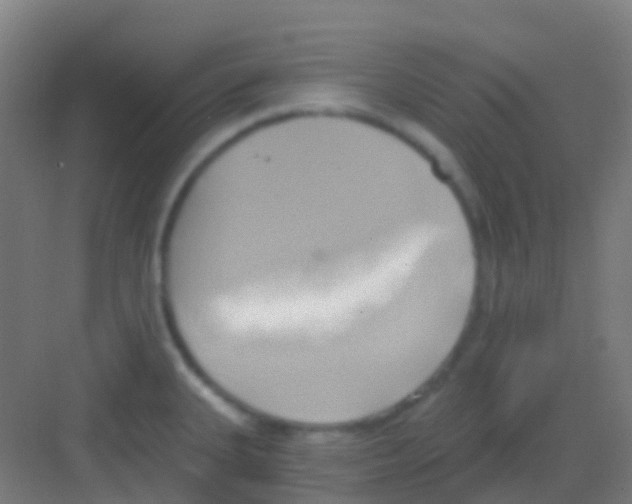 X0000081301335200702082034