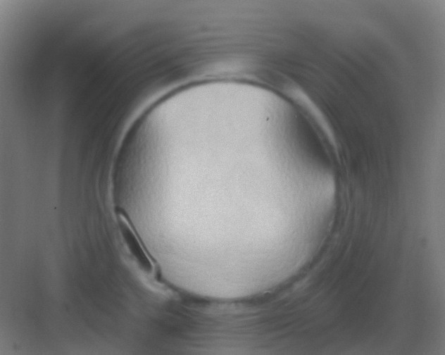 X0000081301336200702082034