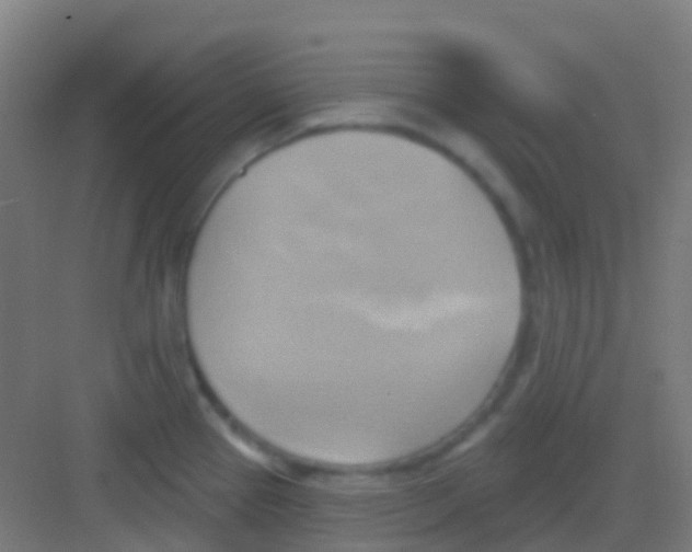 X0000081301337200702082034