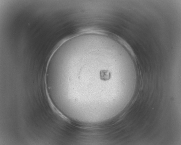 X0000081301338200702082034