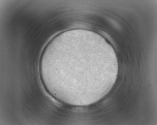 X0000081301339200702082034