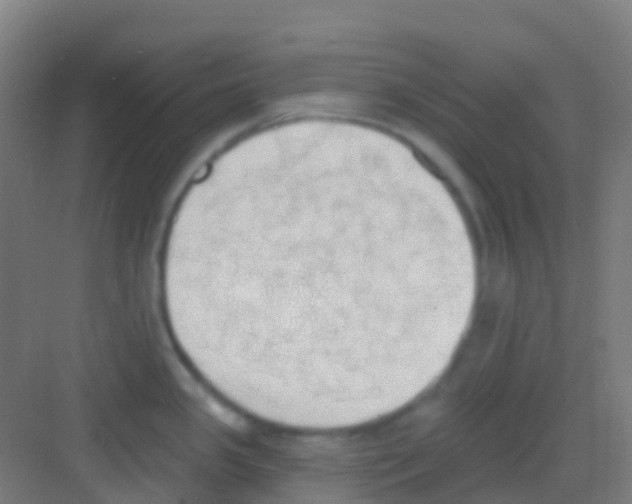 X0000081301341200702082034