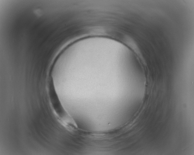 X0000081301342200702082035