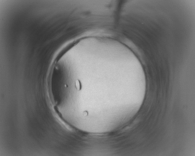 X0000081301344200702082035