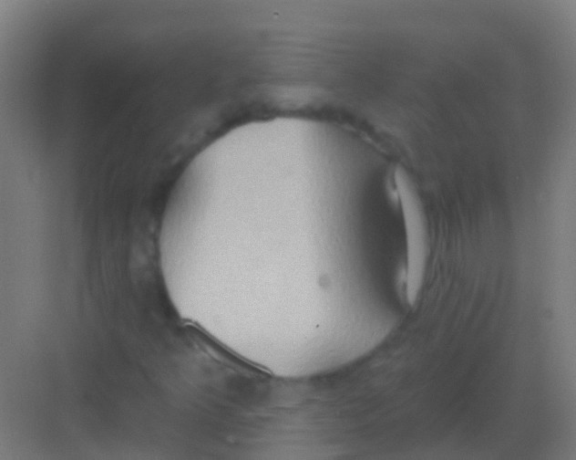 X0000081301349200702082034