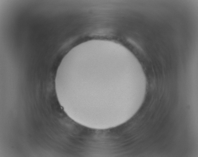 X0000081301350200702082034