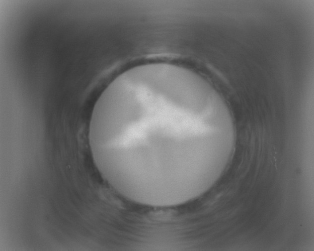 X0000081301351200702082034