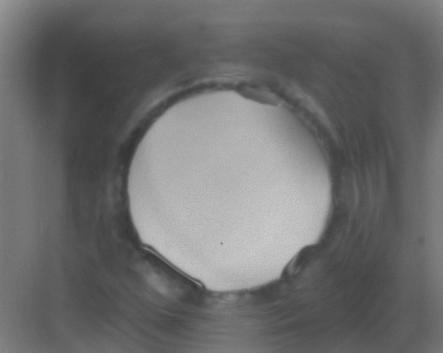 X0000081301352200702082034