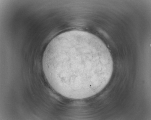 X0000081301354200702082034