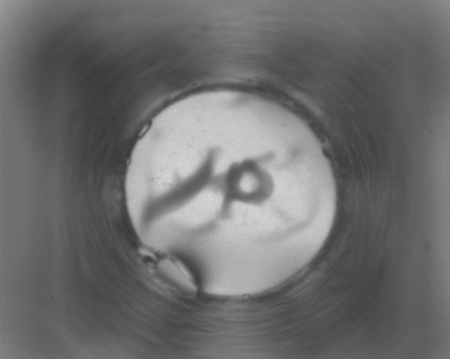 X0000081301355200702082034