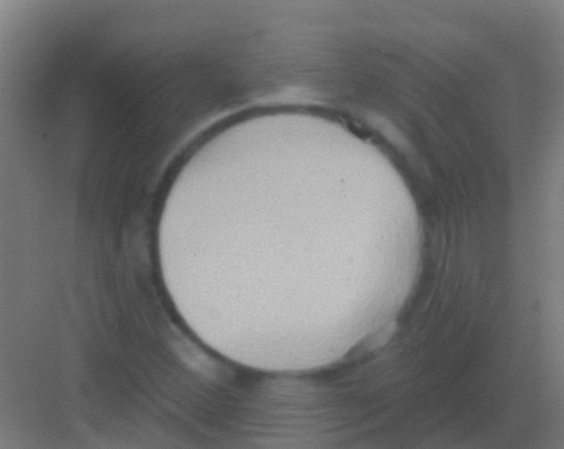 X0000081301356200702082034