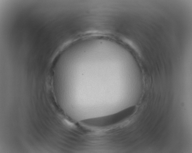 X0000081301357200702082034