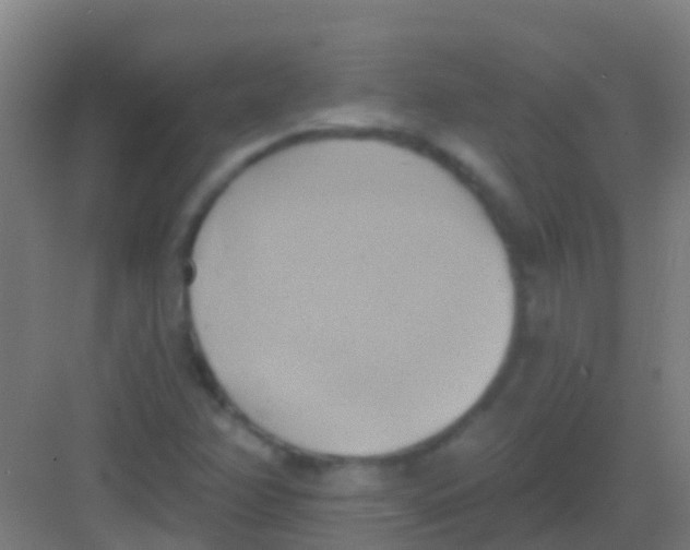 X0000081301358200702082034