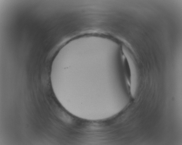 X0000081301359200702082033