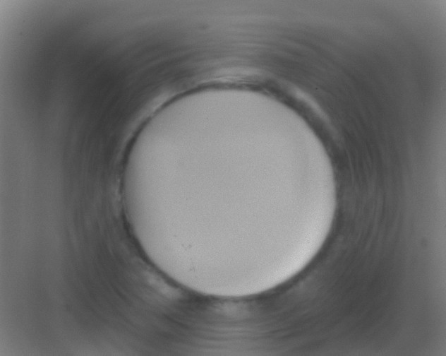 X0000081301362200702082033