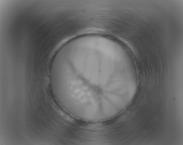 X0000081301363200702082033