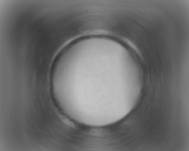 X0000081301364200702082033