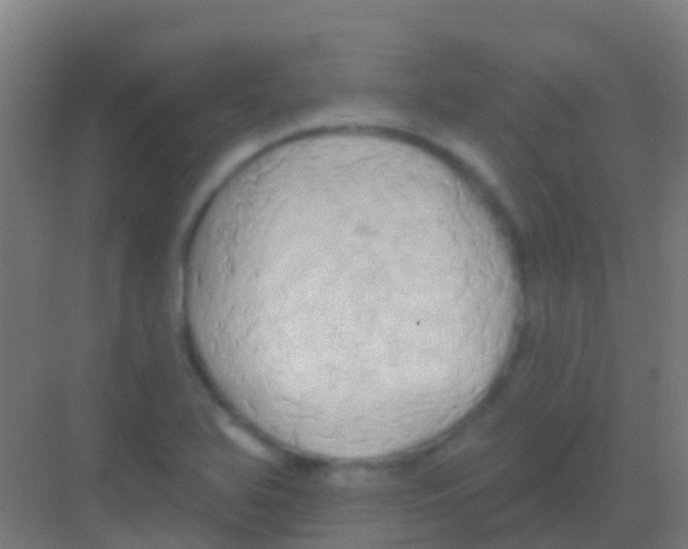 X0000081301366200702082033