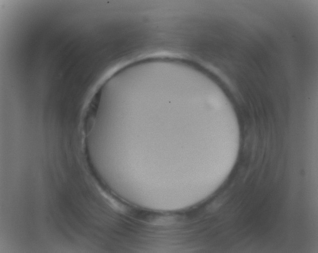 X0000081301367200702082033