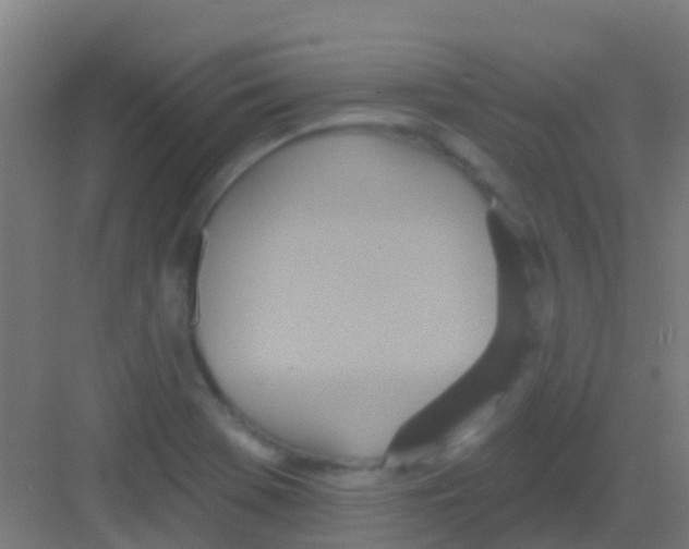 X0000081301369200702082033