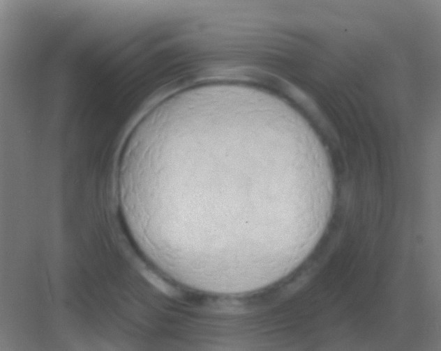 X0000081301370200702082033