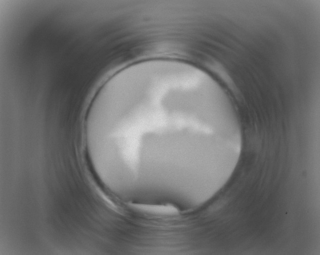 X0000081301371200702082033