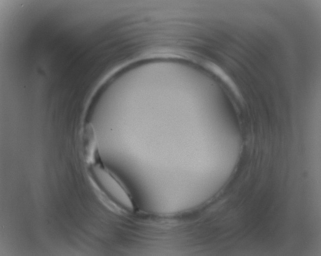 X0000081301372200702082033