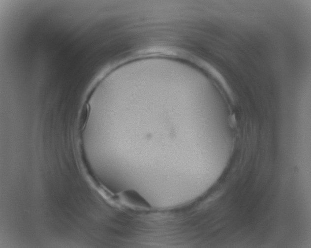 X0000081301373200702082033